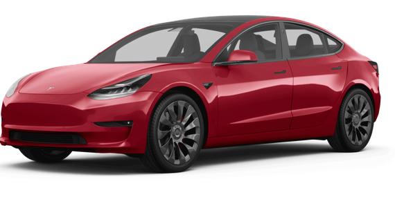 TESLA MODEL 3 2023 5YJ3E1EA7PF446728 image
